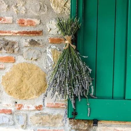 Feriegård Dandelion *