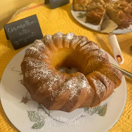 Dandelion בית חווה