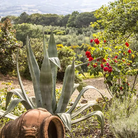 Feriegård Dandelion *