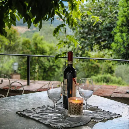 Dandelion * Città della Pieve