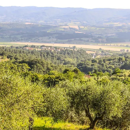Feriegård Dandelion