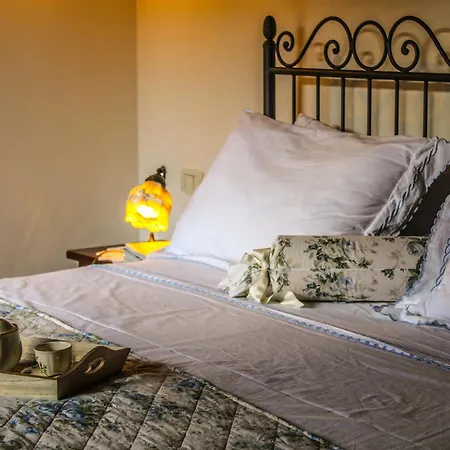 Dandelion Città della Pieve