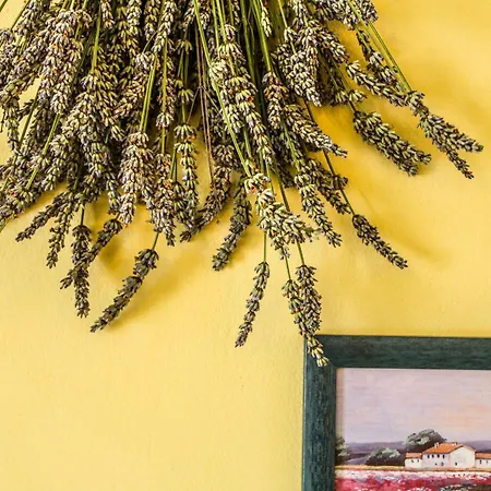 Dandelion مزرعة للإقامة Città della Pieve