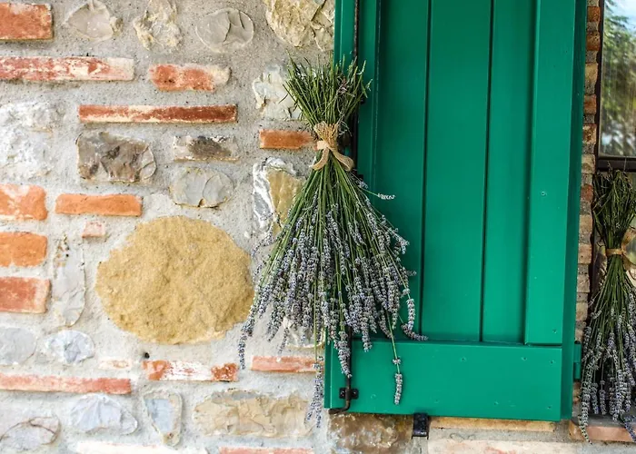 Gospodarstwo agroturystyczne Dandelion *