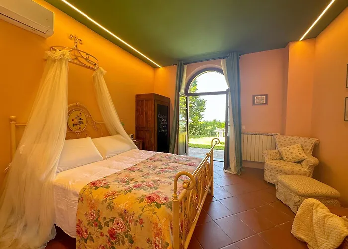 Dandelion * Città della Pieve