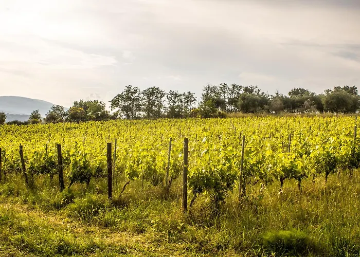 Gospodarstwo agroturystyczne Dandelion *