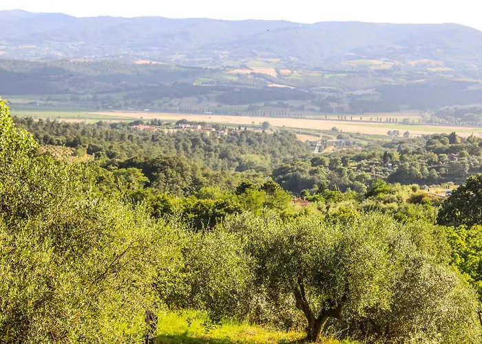 Gospodarstwo agroturystyczne Dandelion